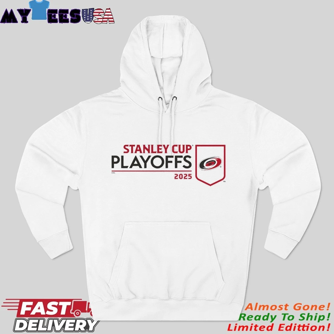 Official Carolina Hurricanes 2025 NHL Stanley Cup Playoffs Logo Hoodie